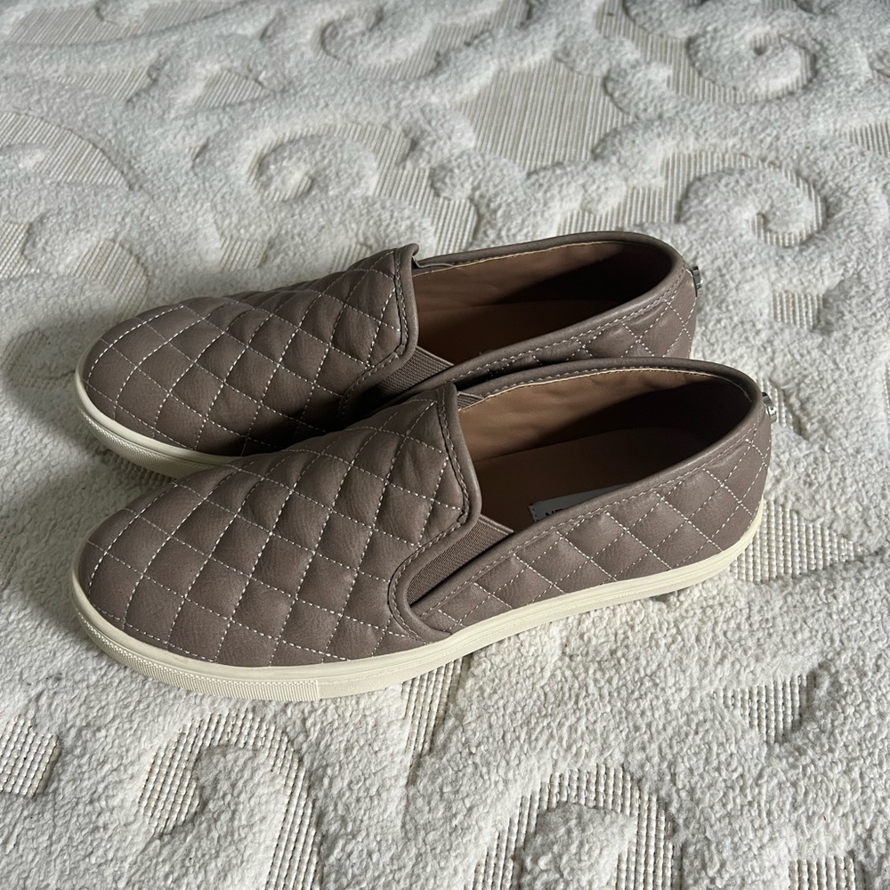 Steve Madden Women's Ecentrcq Sneaker